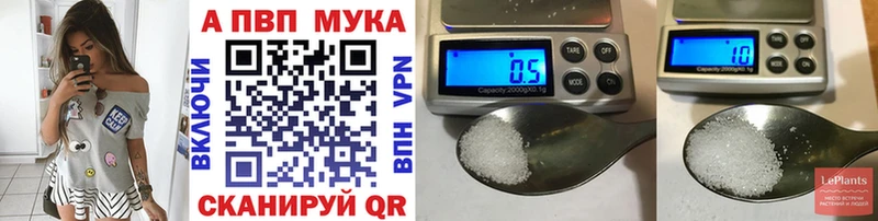 Alfa_PVP СК КРИС  OMG ТОР  Нестеровская 