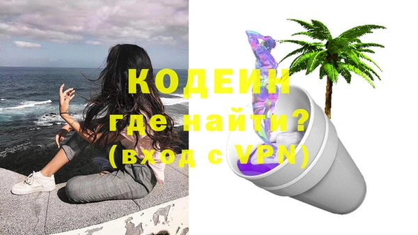 шишки Верхний Тагил