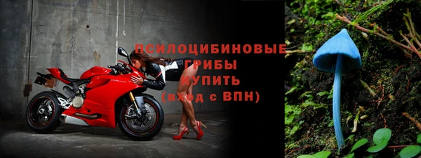 шишки Верхний Тагил